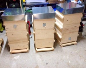 10491282_10152536670347094_8888394445561690785_n